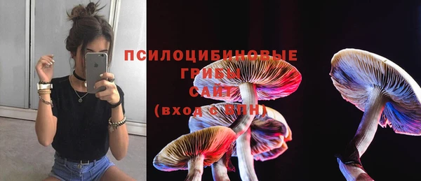 спиды Карталы