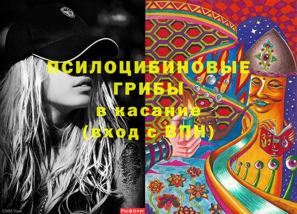 спиды Карталы