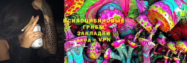 спиды Карталы