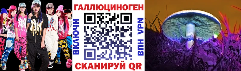 Псилоцибиновые грибы Psilocybe Купить закладки Меленки
